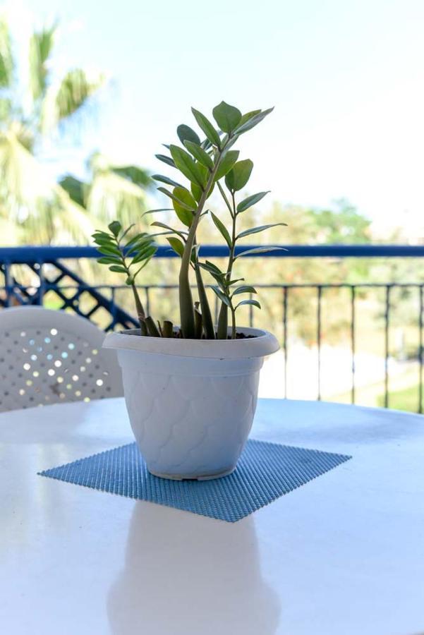 Paradise Gardens With A Large Terrace Paphos Exterior photo